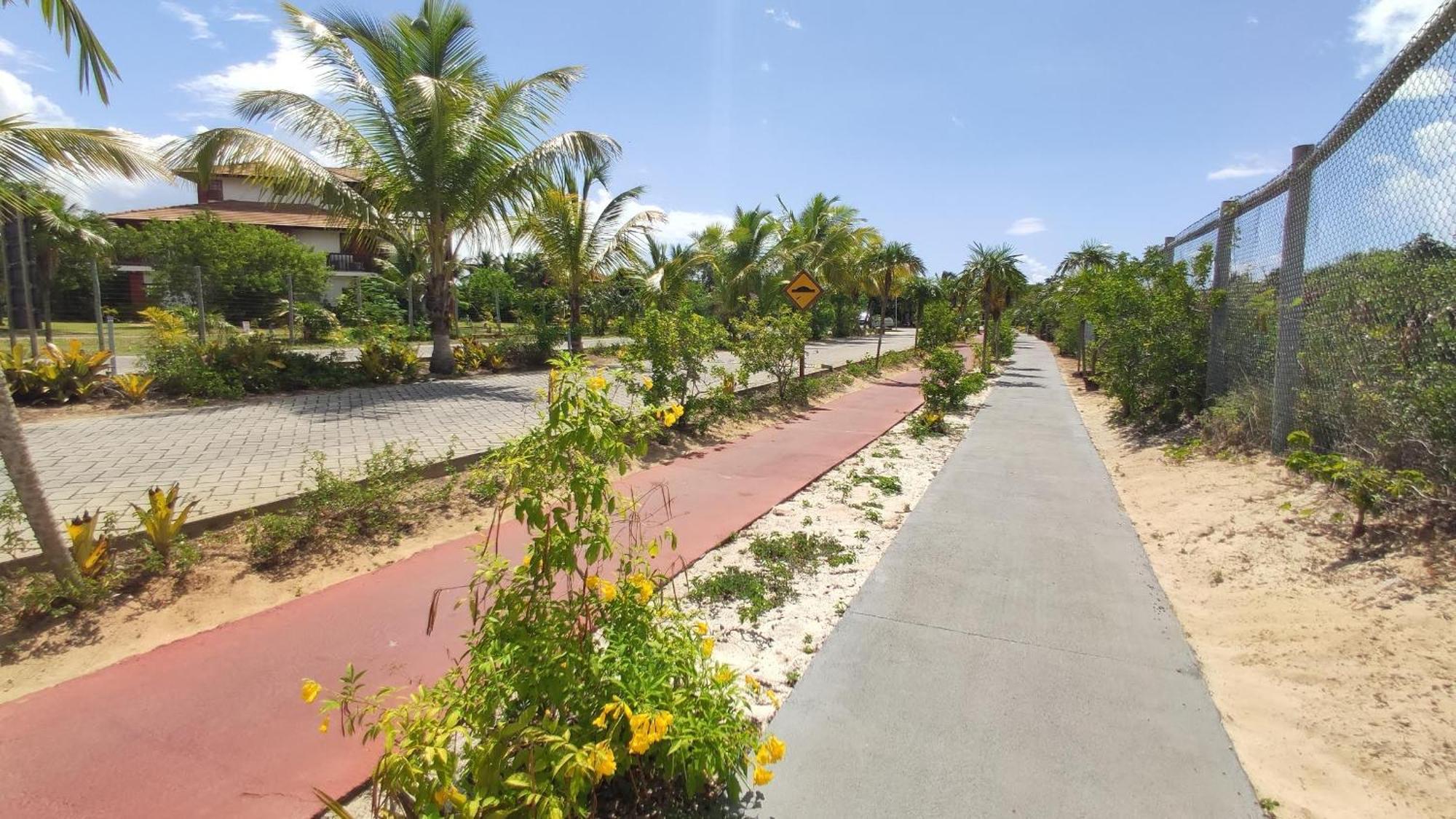 Piscinas Naturais De פראיה דו פורטה מראה חיצוני תמונה